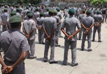 Customs commences 2025 recruitment – Tribune Online