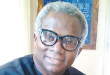Tinubu should adopt fiscal restructuring —Okechukwu, APC chieftain