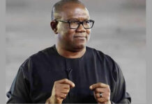 Kogbar Criticizes Peter Obi: ‘From Top Performer to Major Letdown, He’s a Disappointment’