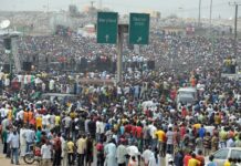 Nigeria Ranked 6th Position Globally in Population, Reaching 235 Million
