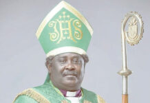 The King has come! (II)