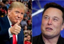 ‘He’s not going to be President’, Trump reacts to claims Elon Musk will control administration