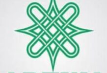 Arewa Youths Criticize Tinubu for Alleged Ethnic Bias in Appointments