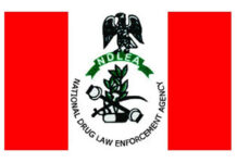 HURIWA Commends NDLEA’s Relentless Anti-Drug Campaign, Lauds Tinubu’s Support