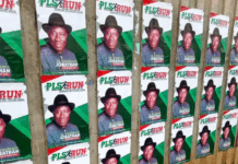 Jonathan’s 2027 Campaign Posters Surface in Kano, APC Reacts