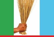 APC chieftain berates party’s vice chairman over SEDC appointment comment