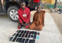 Borno Police Recover 25 Stolen Phones, Arrest Two Suspects