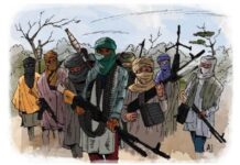 742 people convicted over terrorism in seven years – NSA