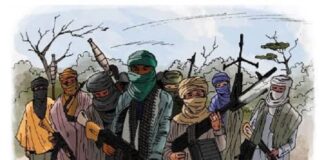 742 people convicted over terrorism in seven years – NSA