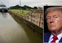 US: Elon Musk reacts as Trump threatens to retake control of Panama Canal