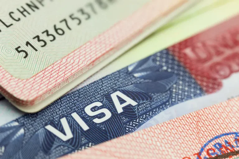 Germany launches online visa portal for easier international applications