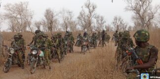Troops Take Down Two Bandits, Seize 1,000 Rustled Cattle in Taraba