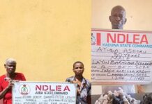 80-yr-old ex-convict, 82-yr-old grandma arrested as NDLEA intercepts N3.2bn opioids