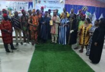 Royal Gala Night Awards: Oba Nureni Alani Akinyemi, Onijegun of Ijegun, honors Eze Chika Nwokedi for his contribution to community development