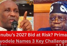 2027 Elections: Primate Ayodele Names 3 Nigerians Who Could Challenge Tinubu