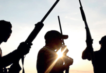 Checkpoint Horror in Enugu: Two Policemen Killed, Patrol Vehicles Set Ablaze