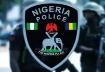 Nasarawa Police Arrest Woman Over 481 Rounds of Ammunition