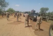 Deadly Clash in Borno as Troops Engage Terrorists, Seven Killed