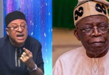 Presidential Aide Fires Back at Pat Utomi: ‘Tinubu Is Tyrant Only When Blocked’