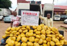 NDLEA Arrests Wanted Kingpin, Confiscates N6.1bn Codeine Shipment at Onne Port