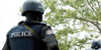 Police arrest suspected motor vehicle thieves in Kano