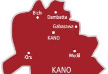 Bandits kill vigilante member, abduct trader’s wives in Kano