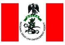 NDLEA promotes seven officers to Deputy Commander of Narcotics in Edo