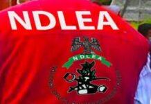 NDLEA arrests 75-year-old grandpa for drug trafficking