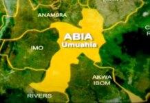 Liaise with governors, LGA bosses to reach genuine farmers – Abia monarch tells Nigerian govt