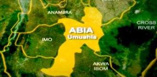 Liaise with governors, LGA bosses to reach genuine farmers – Abia monarch tells Nigerian govt