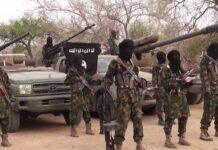 Boko Haram Founder’s Son Apprehended in Chad with ISWAP Militants