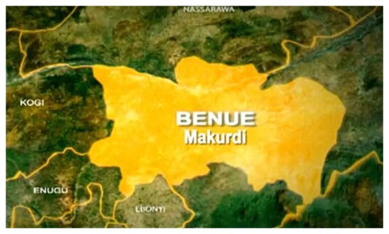Snake bite victims in Benue IDP camp hits 12 as teenager battles for his life