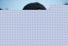 Chioma Chukwuka doesn’t accept kissing, romantic roles – Patience Umeh