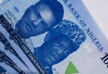 Naira bounces back against dollar