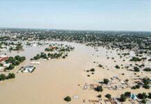 Flood destroys 995 rice farms in Jigawa