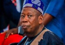 Gov Yusuf to investigate Ganduje’s alleged sale of state abattoir worth millions