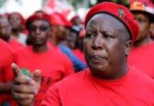 Xenophobia betrays African unity – Malema