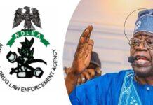 Tinubu Endorses NDLEA’s Fight Against Drug Abuse, NSA Hands Over New Vehicles