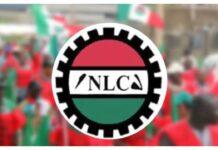 NLC seeks details of political office holders’ pay amid review rumours