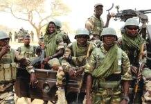 Troops repel ISWAP attack in Borno, kill two commanders, others