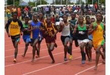 Northeast Basic Education School Sports competition begins in Yola