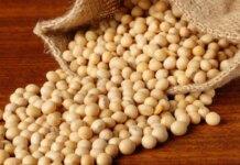 American Soybean Association expands investment to boost US-Nigeria ties in aquaculture