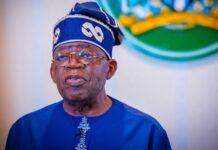 Tinubu Leverages North in Push for Education and Human Capital Reform