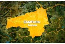 142 abducted victims regain freedom in Zamfara