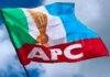 APC functions as platform for personal ambition, not political party – Olawepo-Hashim