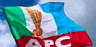 APC functions as platform for personal ambition, not political party – Olawepo-Hashim