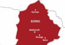 Troops repel ISWAP midnight raid in Borno, inflict casualties on terrorists