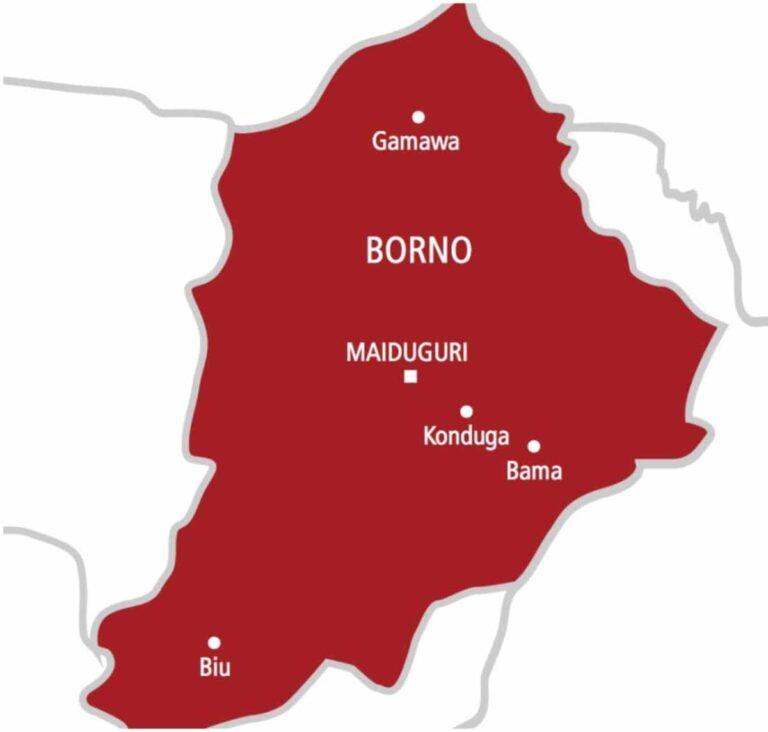 Death toll from ISWAP attack in Borno village rises to 50 