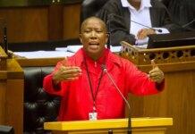 Malema calls for a single African president, currency and military