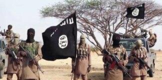 ‘Niger Republic air strikes: Boko Haram commander debunks death reports